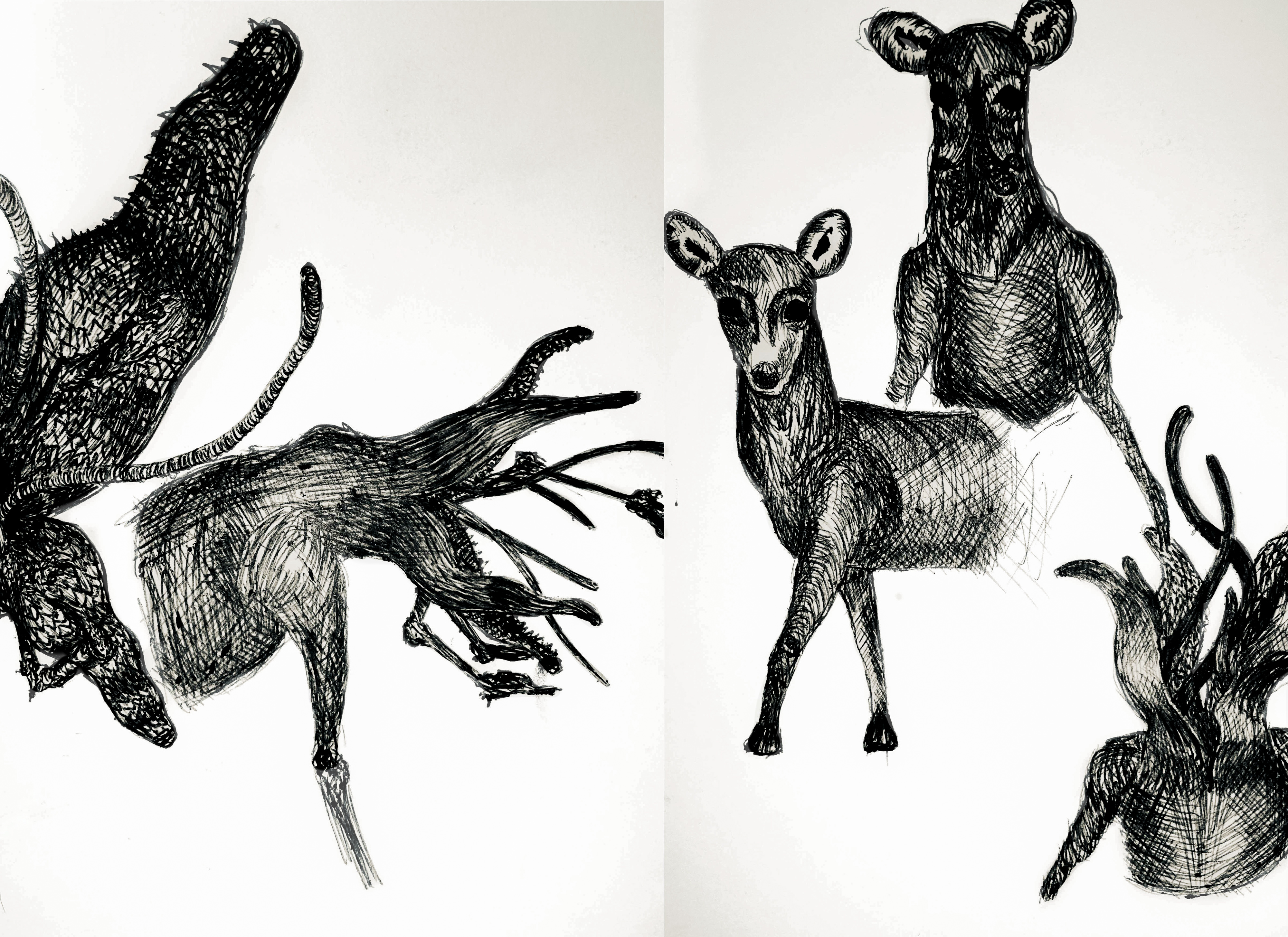 Sketches